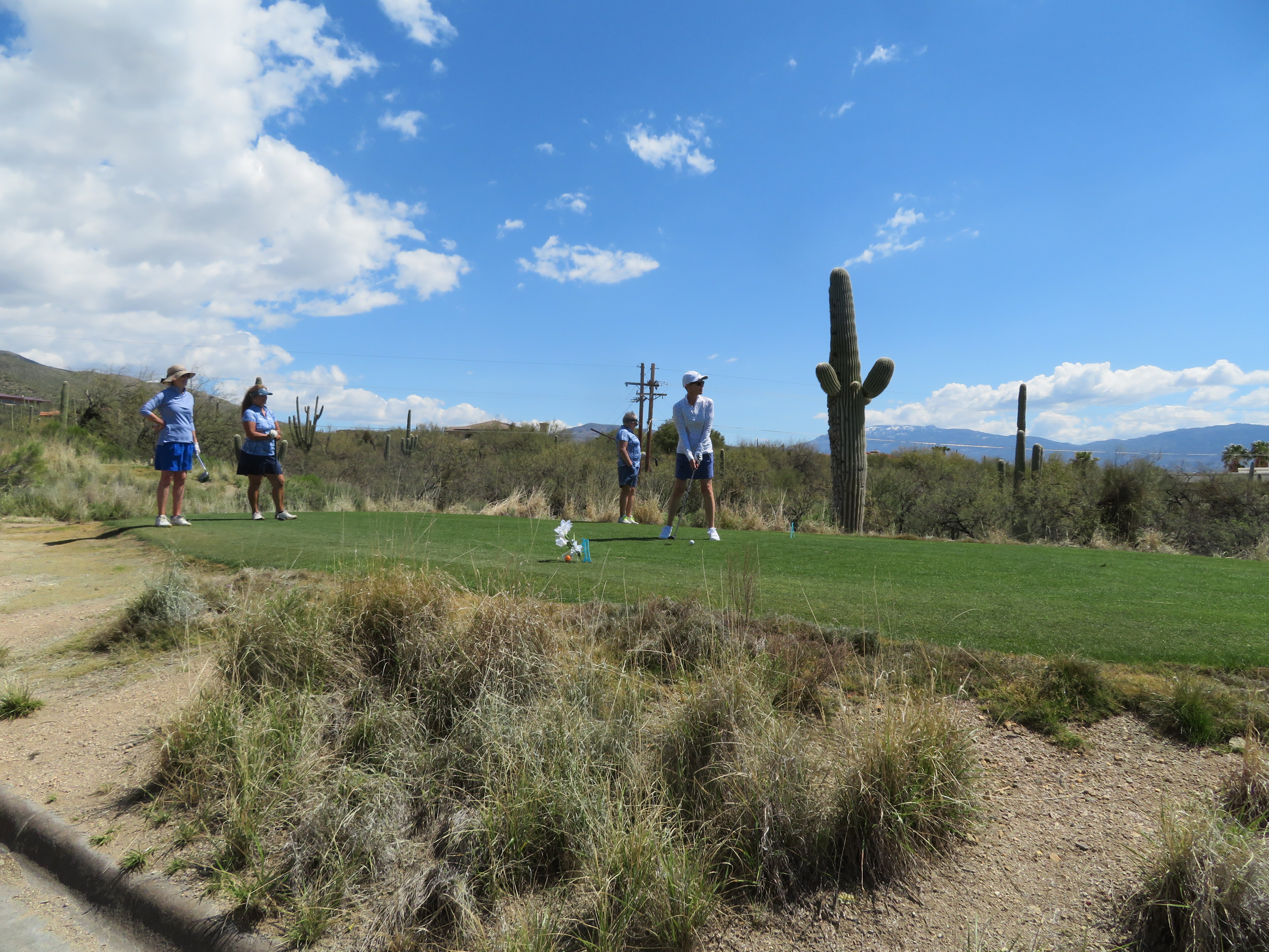 tee it up