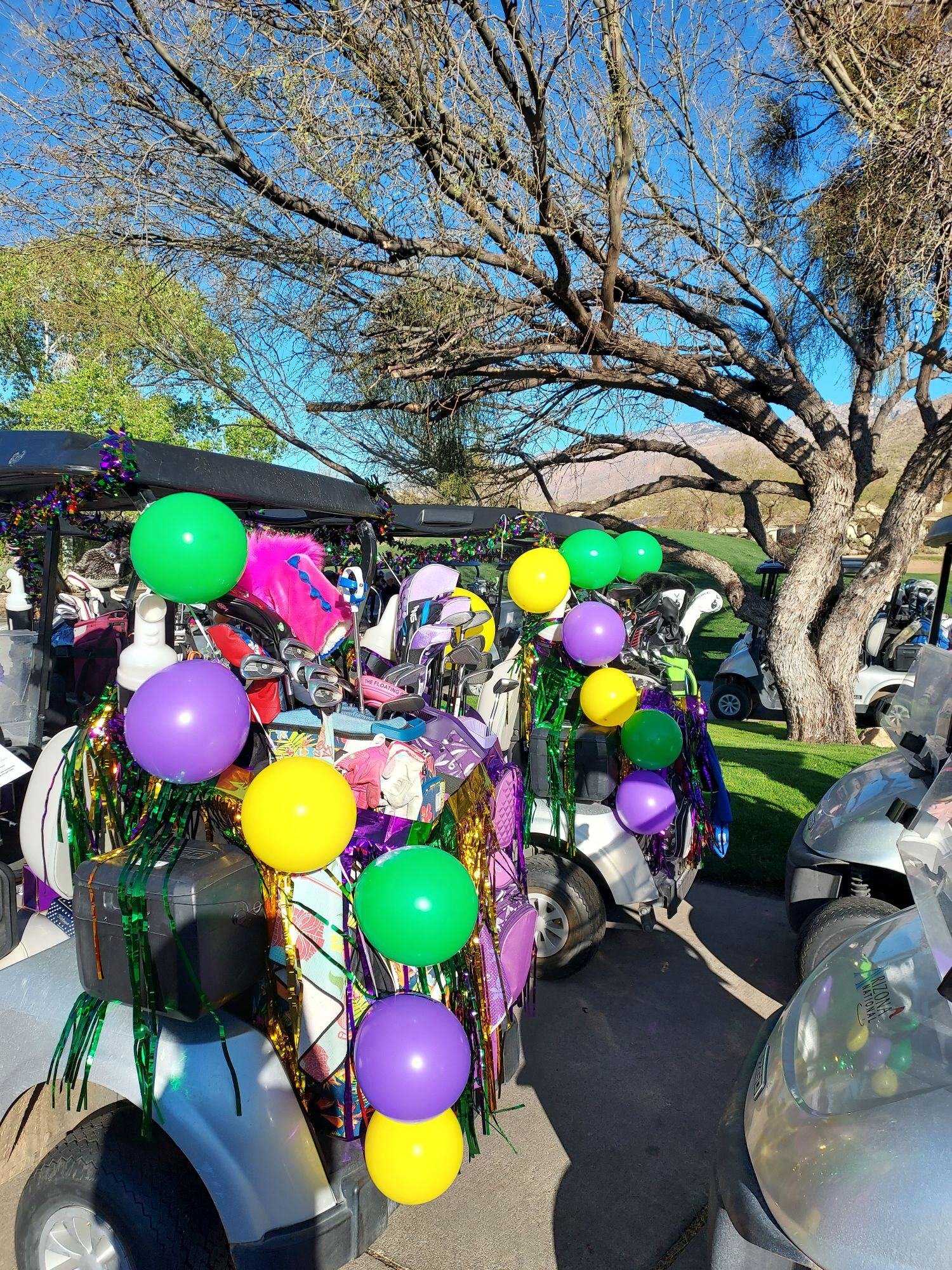 cart decoration 2