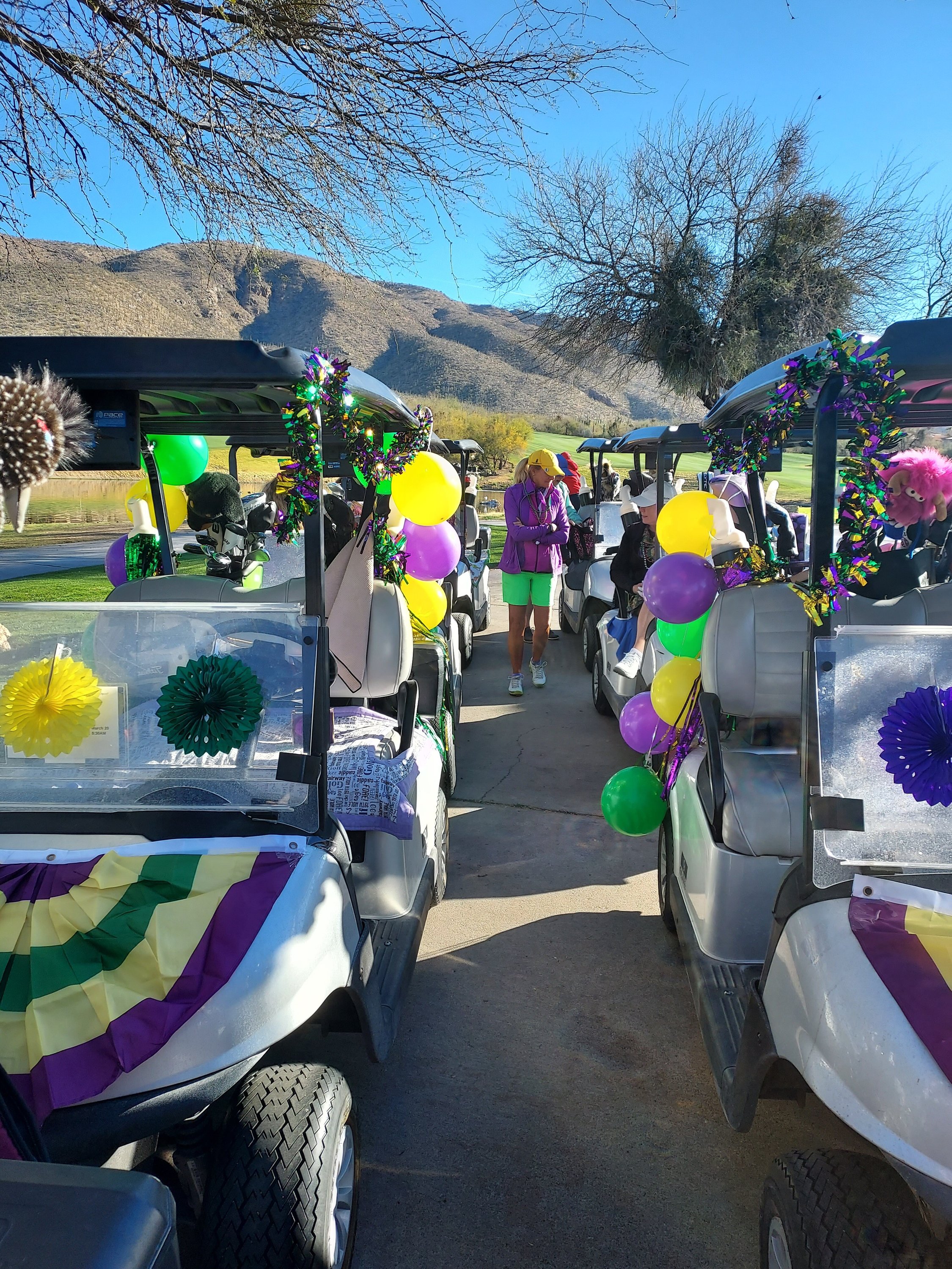 cart shot